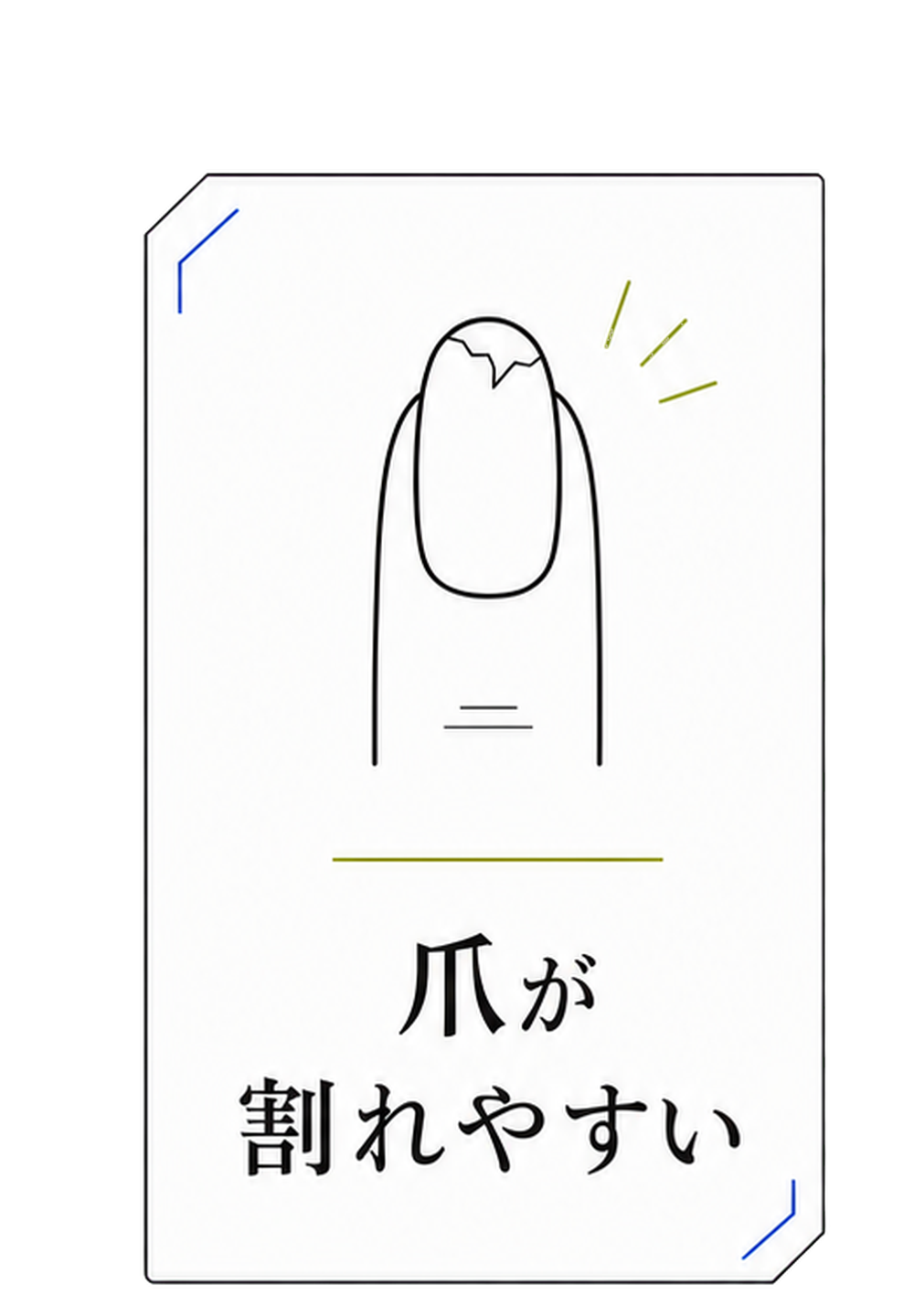 爪が割れやすい